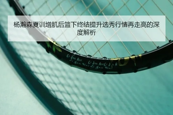 杨瀚森夏训增肌后篮下终结提升选秀行情再走高的深度解析